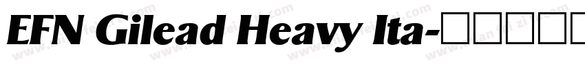 EFN Gilead Heavy Ita字体转换